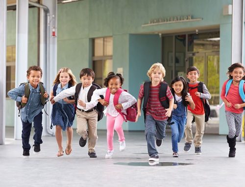 آماده ترم تابستان