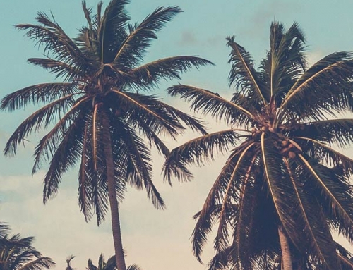 گشایش اقیانوس آرام