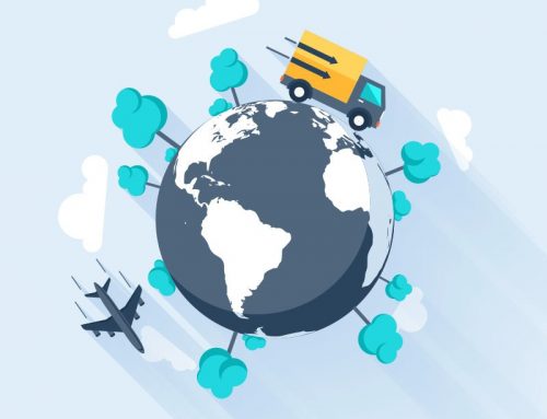 چگونه یک به روز رسانی جدید AVADA را نصب کنیم