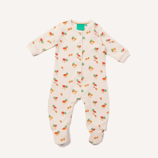 آب و هوا برای اردک