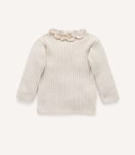 پایه ساق دنده ای - تصویر 3