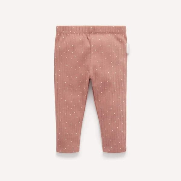 پایه ساق دنده ای