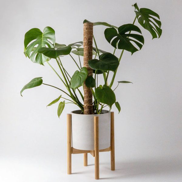 کوکوپیر قطبی