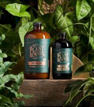 درخشنده طبیعی برگ روغن چریش