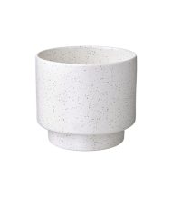 دراکفروکت - تصویر 2