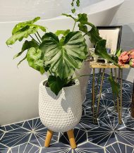 سبک لانه زنبوری