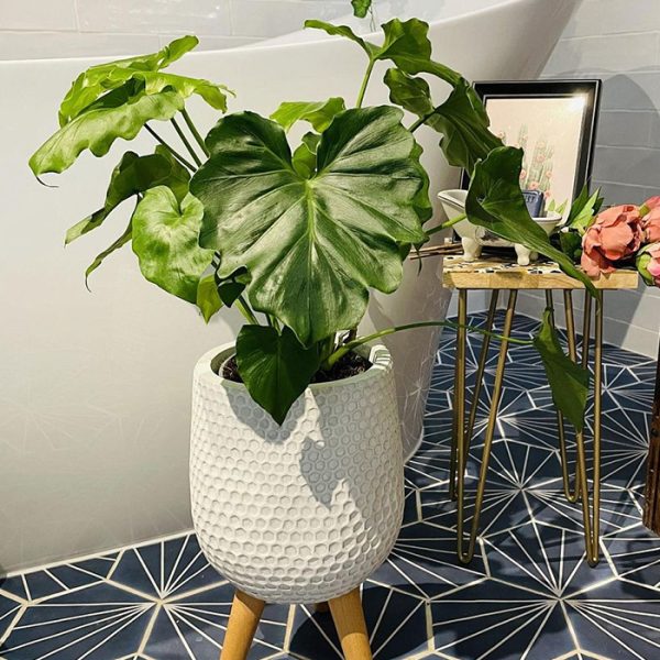 سبک لانه زنبوری